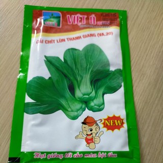 Cải chít lùn Thanh Giang(VA.20)
