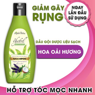 Dầu gội dược liệu sạch hữu cơ giảm rụng tóc chiết xuất Oải Hương Thebol 190g