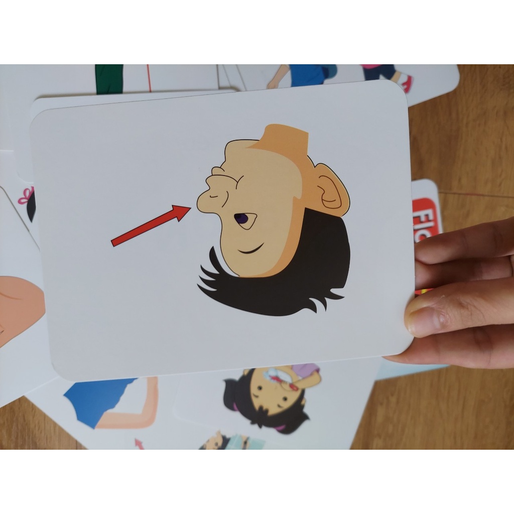 Thẻ học thông minh kích thước lớn 12x16cm chủ đề bộ phận cơ thể -  Flashcard TGXQ Glenn doman chuẩn