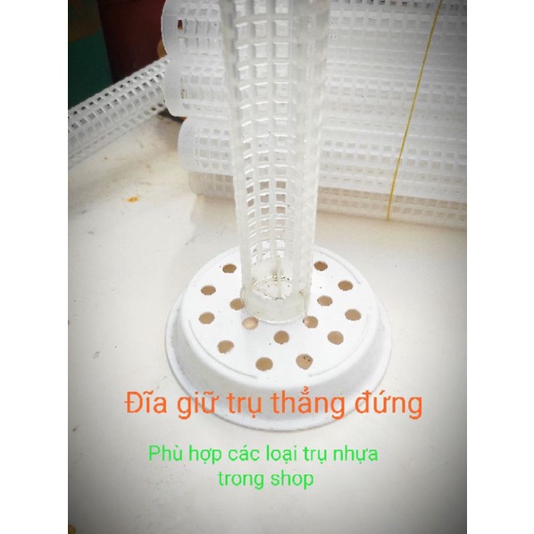 Đĩa giữ trụ trồng cây thẳng đứng