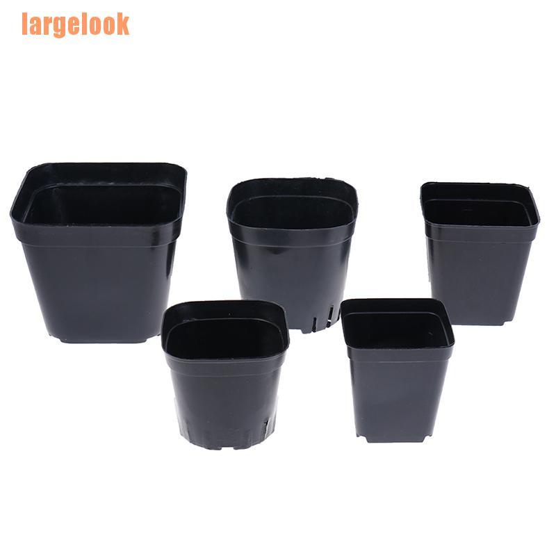 Bộ 10 chậu cây bằng nhựa dáng vuông nhỏ màu đen tiện dụng