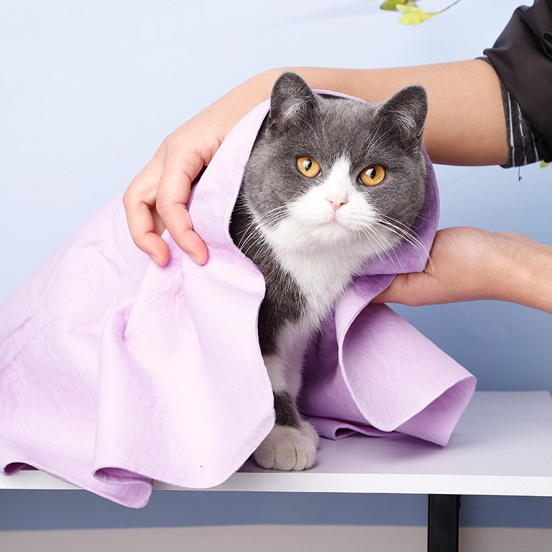 KHĂN SIÊU THẤM HÚT NƯỚC CỠ LỚN CHO CHÓ MÈO CAO CẤP