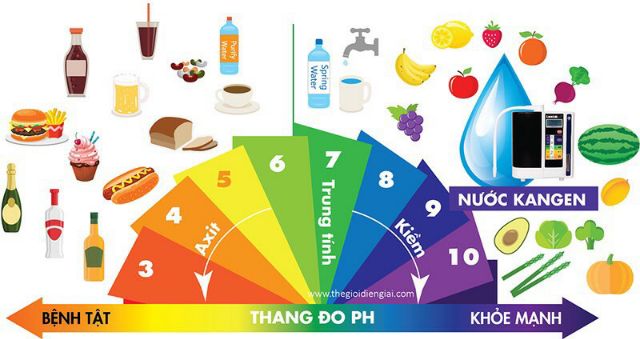 Dung Dịch Kiểm Tra pH | Test pH Chuyên Dùng Cho Máy Điện Giải - Máy Ion Kiềm Chuyên Nghiệp