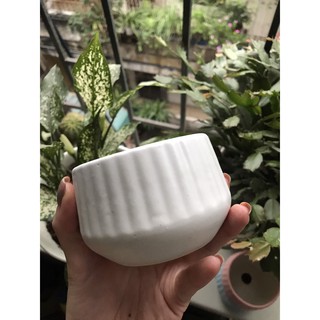 CHẬU SỨ BÁT TRÀNG MINI DECOR SIÊU XINH