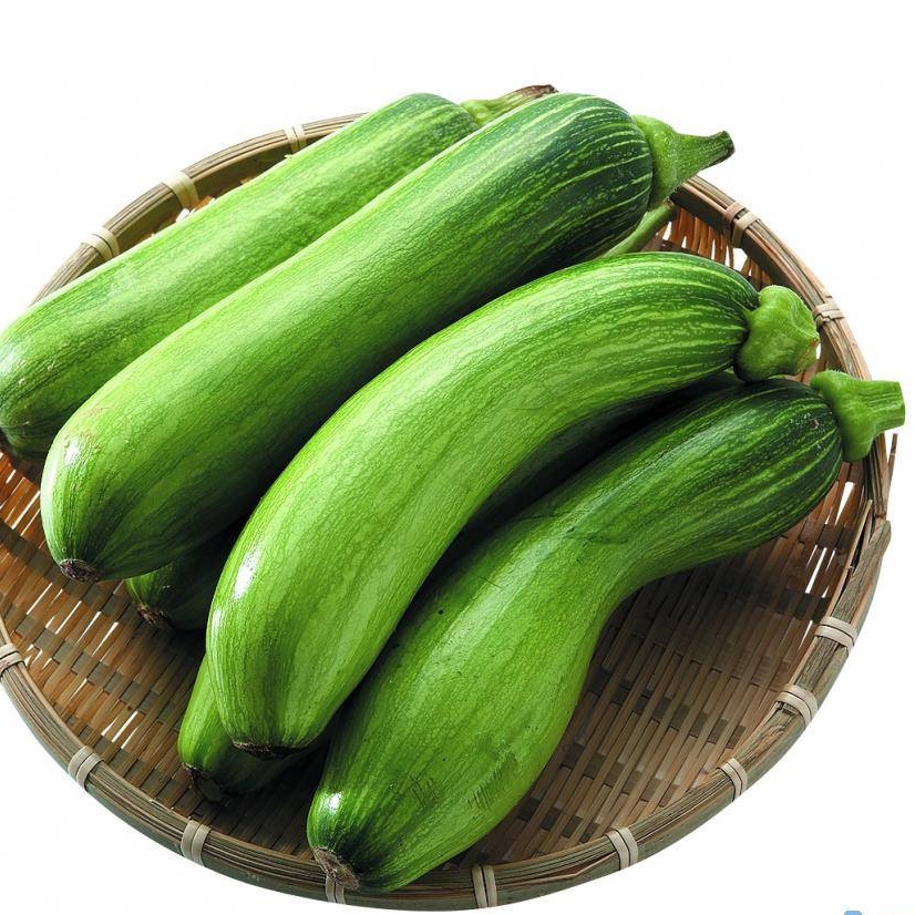 Hạt giống bí đao vua Kinga Ae tráng men_Chuẩn