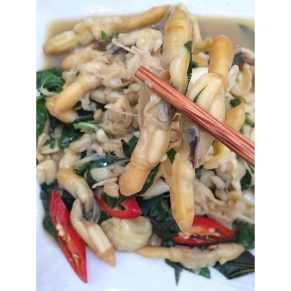 [ PHÚ NHUẬN] YN 🐚🐚RUỘT ỐC MÓNG TAY 1 KG🌿🌿