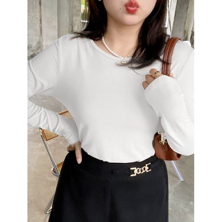 Áo thun Bigsize dài tay chất da cá mềm mịn