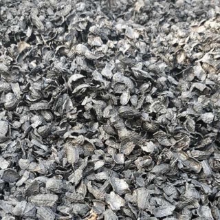 5kg vỏ lạc hun cháy 100% - giá thể trồng lan và cây các loại