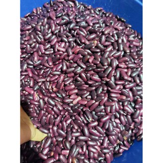 ĐỖ đen và Đỗ đỏ hạt to (1 kg ) sống