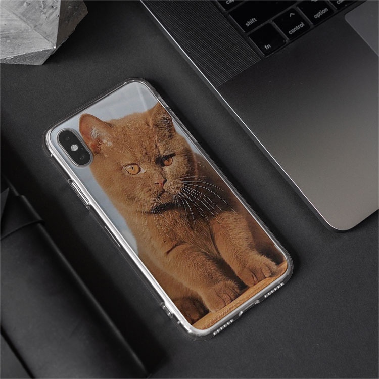Ốp lưng điện thoại Cat Mèo nâu đáng yêu cho iPhone12promaxXS XR nữ 8plus mềm 7Plus X XR Xs Max 6 6s BLUMEW0138
