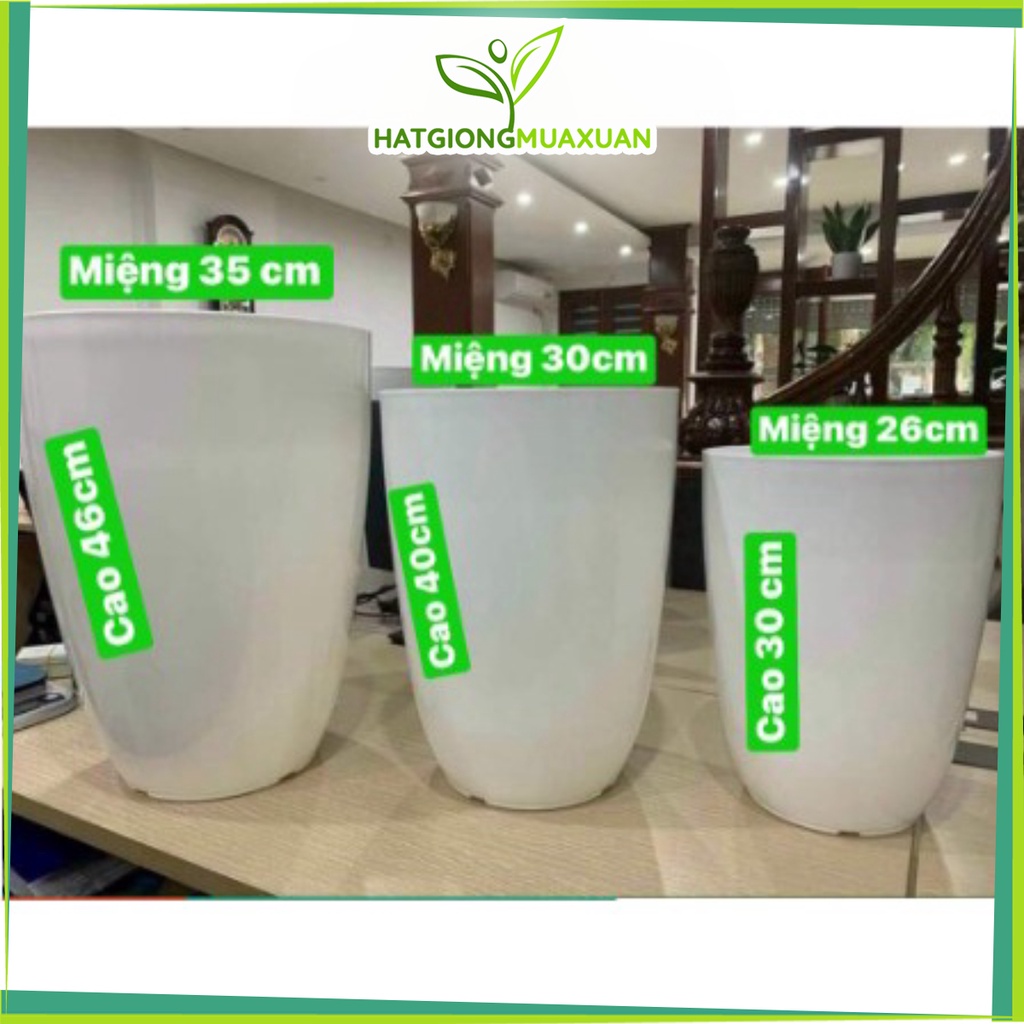 Chậu nhựa bom giả sứ dày dặn cao cấp kt 26x34, 30x40, 35x47cm