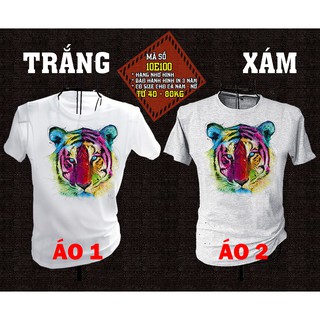 Áo thun nam nữ 3D - PH7