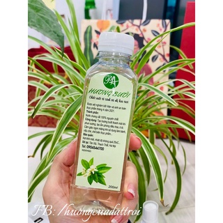 XỊT KHOÁNG HƯƠNG BƯỞI
