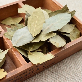 lá nguyệt quế sấy khô/ bay leaf