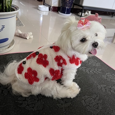 Áo khoác bông họa tiết hoa dành cho thú cưng