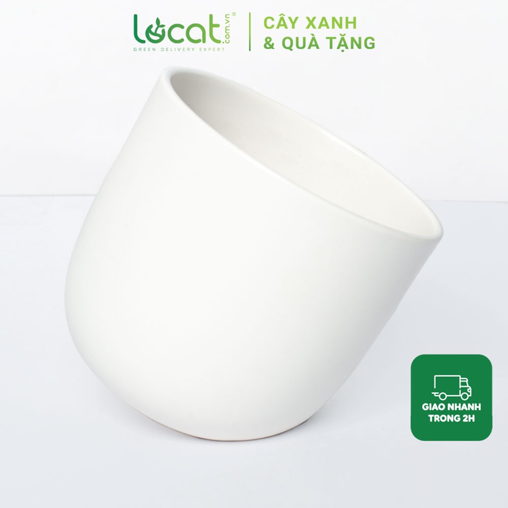 Chậu sứ nhiều màu trồng cây dáng nghiêng
