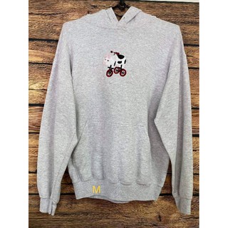 Hoocdie 100k