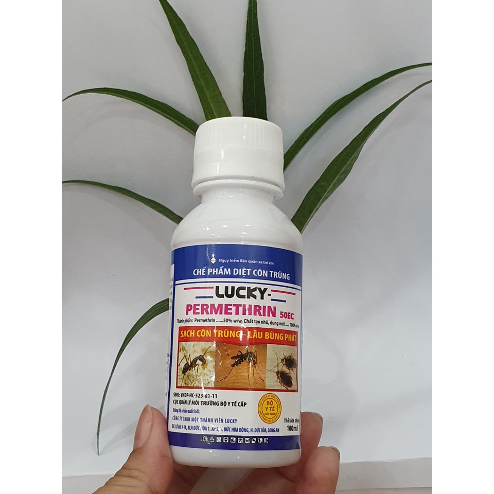 Xịt đuổi muỗi - xịt diệt côn trùng LUCKY  - Chế phẩm LÂU DÀI - KHÔNG HÔI, KHÔNG ĐỘC - Mai Huy