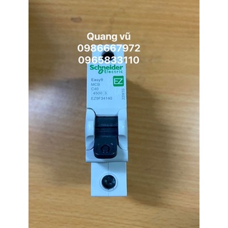 Aptomat 1 pha chính hãng schneider 40a