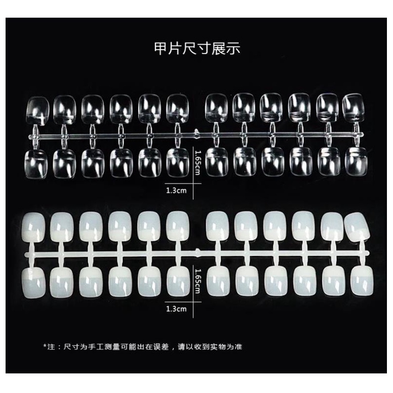 móng vỉ vẽ Hoạt hình 240 móng