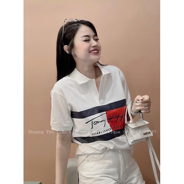 Áo TOMYY cổ đức