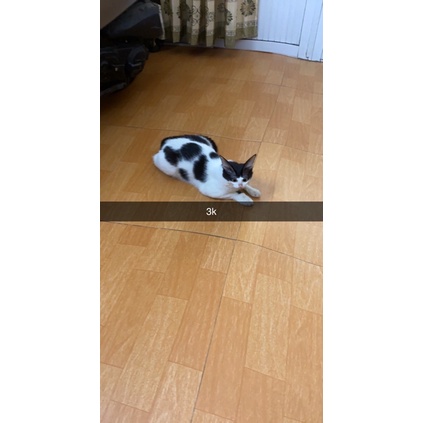 con trai bà hương - đi lạc hiện chưa về TT