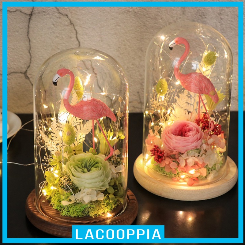 [LACOOPPIA]Decorative Glass Cloche Bell Jar Dome with Wooden Base Display Decor_Brown A