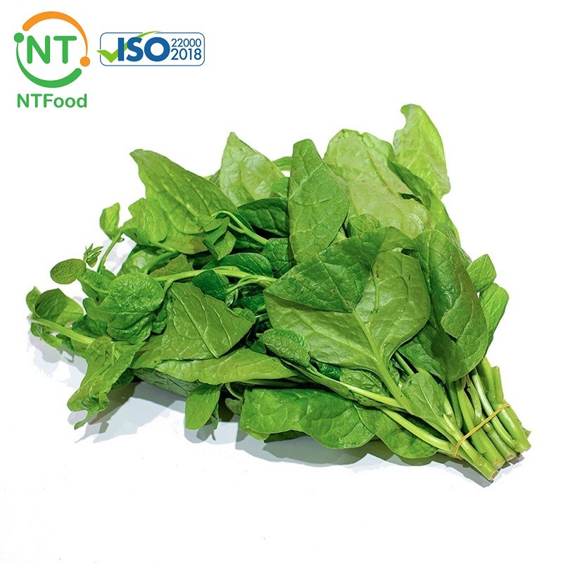 [HCM] Rau mồng tơi Đà Lạt NTFood - tươi ngon mỗi ngày - Nhất Tín Food