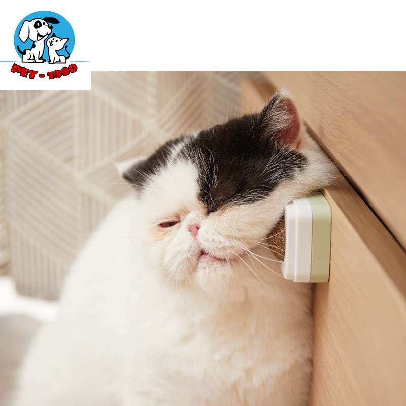 CATNIP - Viên Cỏ Bạc Hà Cho Mèo Gắn Tường  Giảm Stress - Hỗ Trợ Tiêu Hóa - Tiêu Búi Lông - Cân Bằng Dinh Dưỡng Cho Mèo