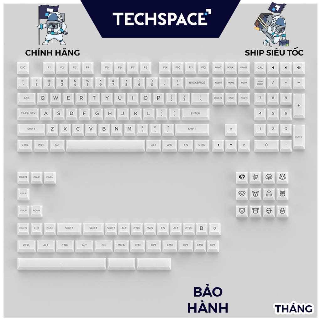 Bộ keycap trong suốt xuyên led AKKO Keycap set – White