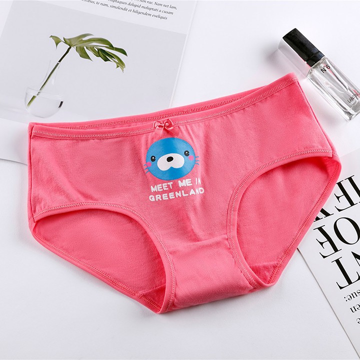 [siêu rẻ] Sét 05 quần Lót Cotton Quảng Châu hình cute kháng khuẩn xuất Nhật Q2