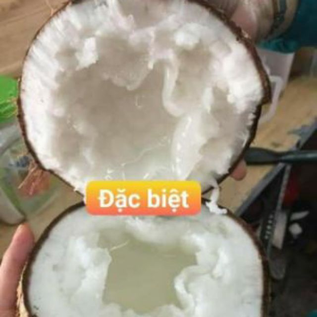 DỪA SÁP LOẠI ĐẶC BIỆT COMBO 3 QUẢ 3KY5