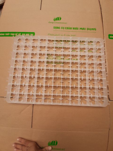 Combo 10 cái - khay ấp trứng gà 88 quả