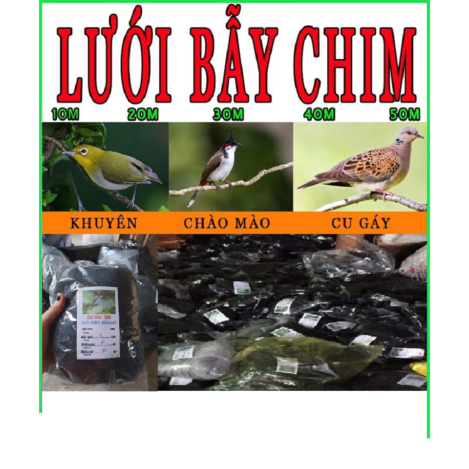 Lưỡi Bẫy Chim | lưới bẫy chim tàng hình | lưới bây chim khuyên sâu sẻ