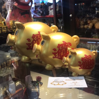 Ống heo nhựa tiết kiệm