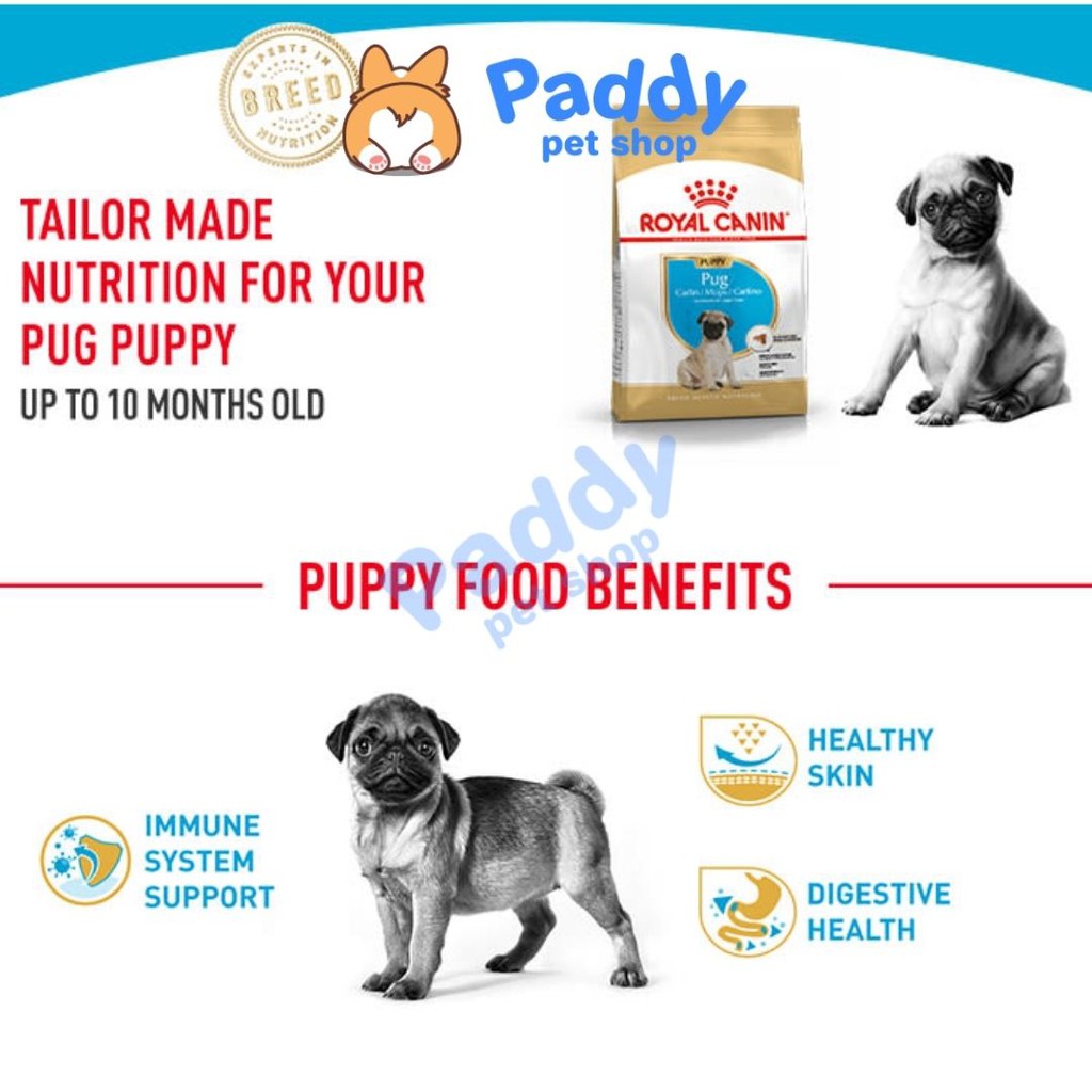 Hạt Royal Canin Pug Puppy Cho Chó Con Giống Pug