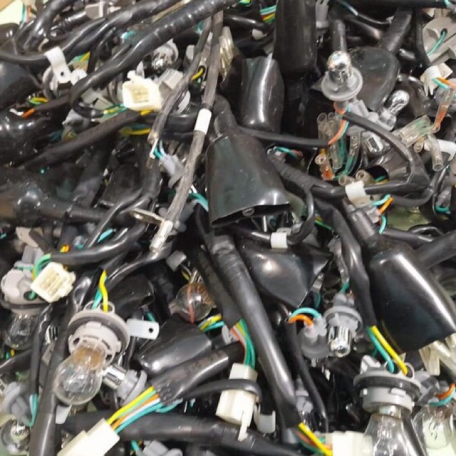 Đui đèn hậu các dòng xe ga và xe số - đèn hậu exciter