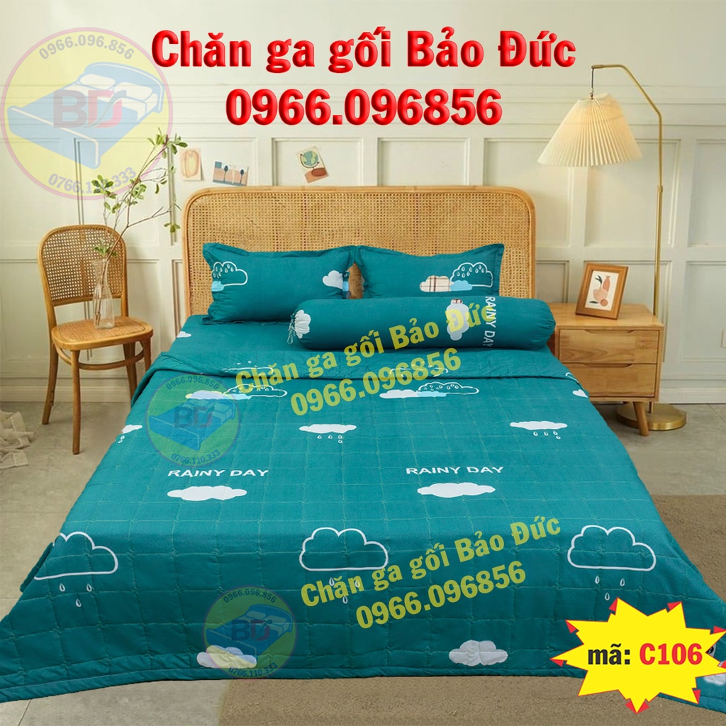 Chăn hè cotton poly ,mền trần bông 3 lớp,