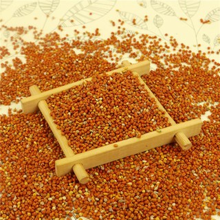 Kê đỏ nhỏ combo gói 5kg