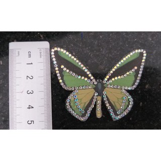Hình bướm ủi nhiệt trang trí (2 hình /5k)