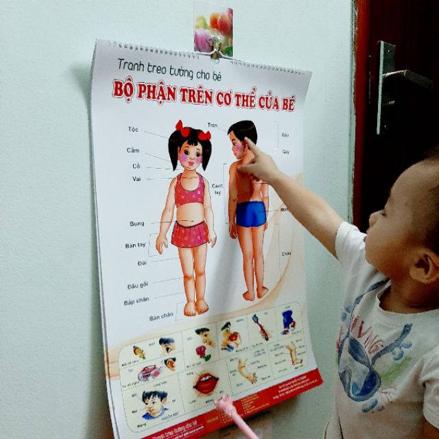TRANH TREO TƯỜNG 14 CHỦ ĐỀ CHO BÉ
