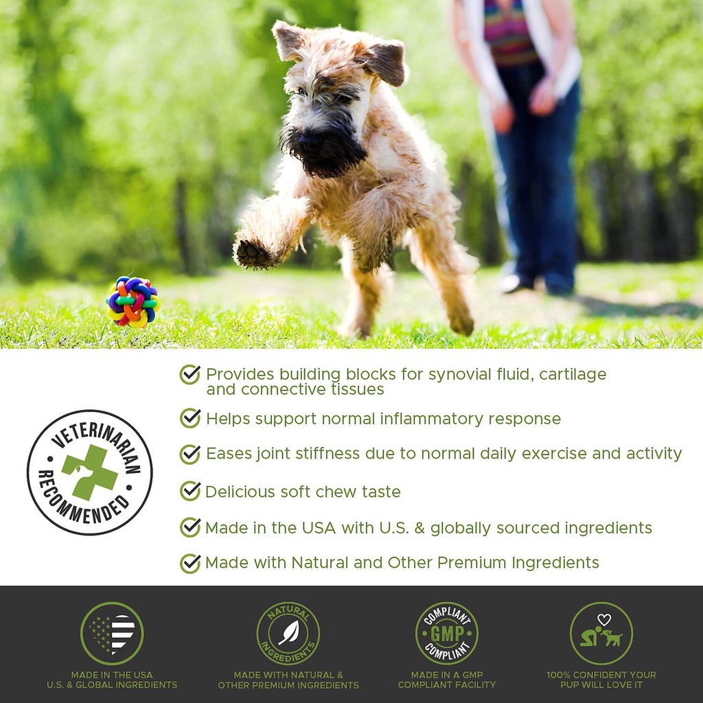 Viên Bổ Hổ Trợ Sụn Khớp Hông Cho Chó Pet Honesty Pure Mobility Cải Thiện Chứng Loạn Sản Viêm Khớp Hạ Bàn