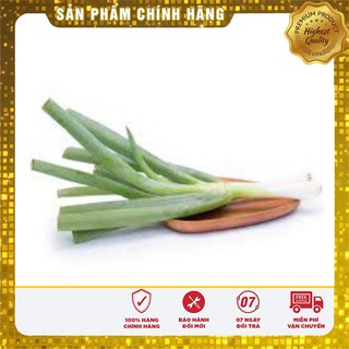 Hạt giống hành Paro F1 - 1gr