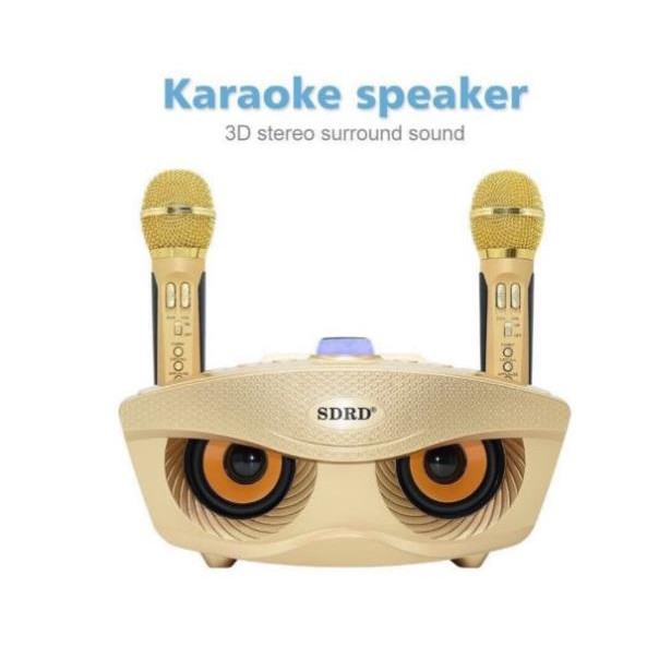 Loa Karaoke SD-306 Âm Thanh 3D Cực Hay Kèm 2 Mic
