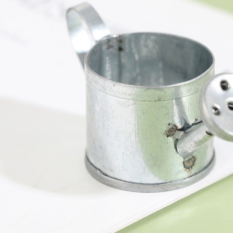 Mô Hình Bình Tưới Cây Xinh Xắn Dành Cho Búp Bê