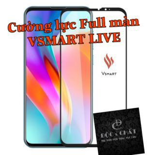 Kính cường lực 9H Full màn hình Vsmart Live