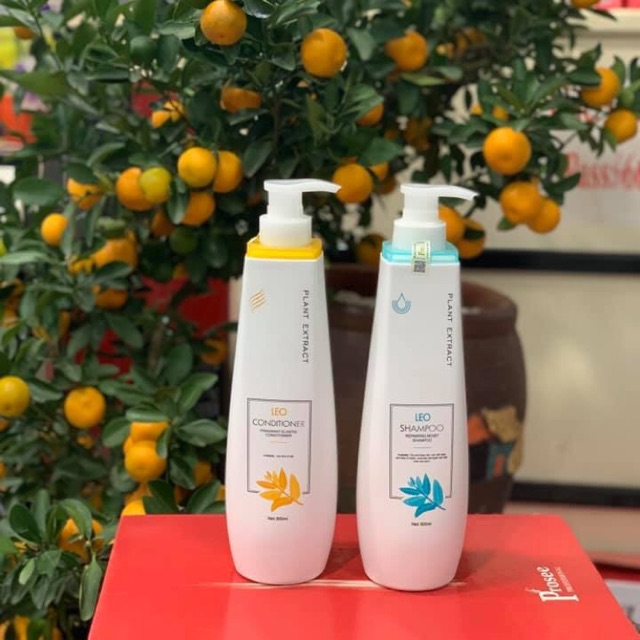 DẦU GỘI //// DAU XẢ PROSEE LEO chai 800ml siêu to