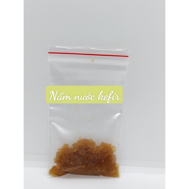 Combo đầy đủ Nấm nước kefir + Hũ thủy tinh 500ml +Rây lọc + Khăn đậy hũ + Thìa gỗ