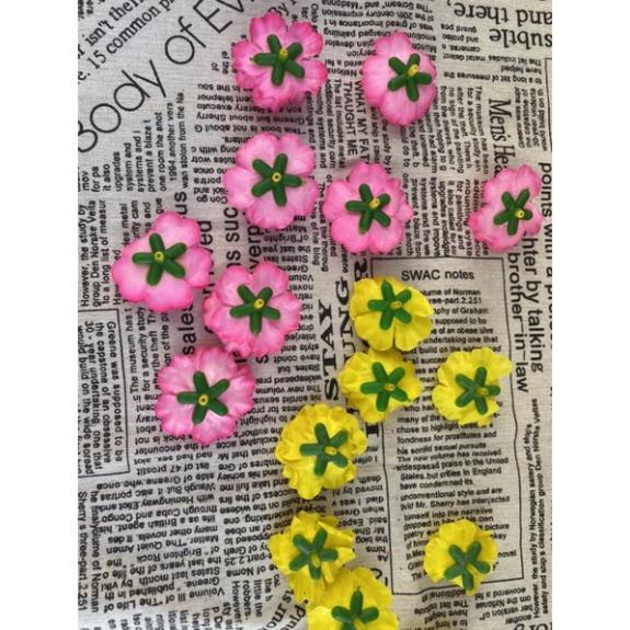 Anh đào bông rời 500g phù hợp trang trí cây giả ngày tết