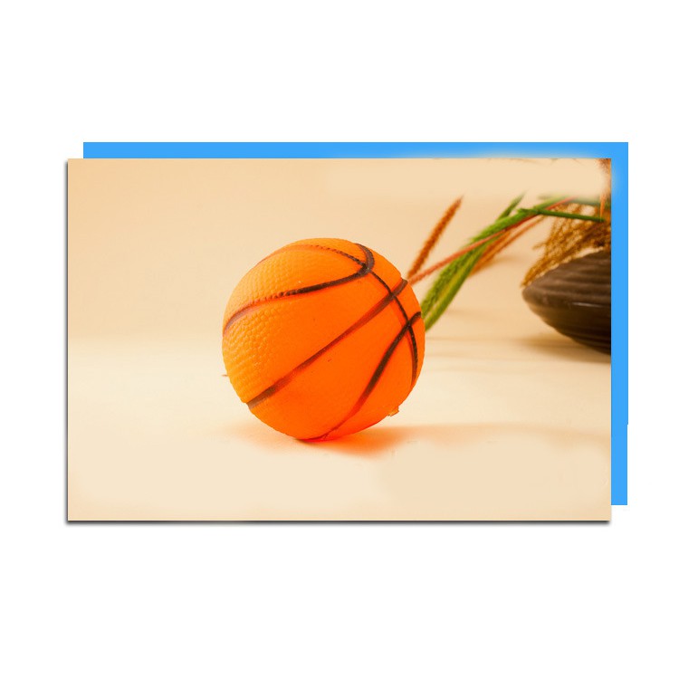 Đồ Chơi Bóng Rổ Nhỏ Mài Xương Tiêu Chuẩn Cho Thú Cưng